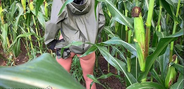 public risky raincoat sex in a cornfield - projectfundiary